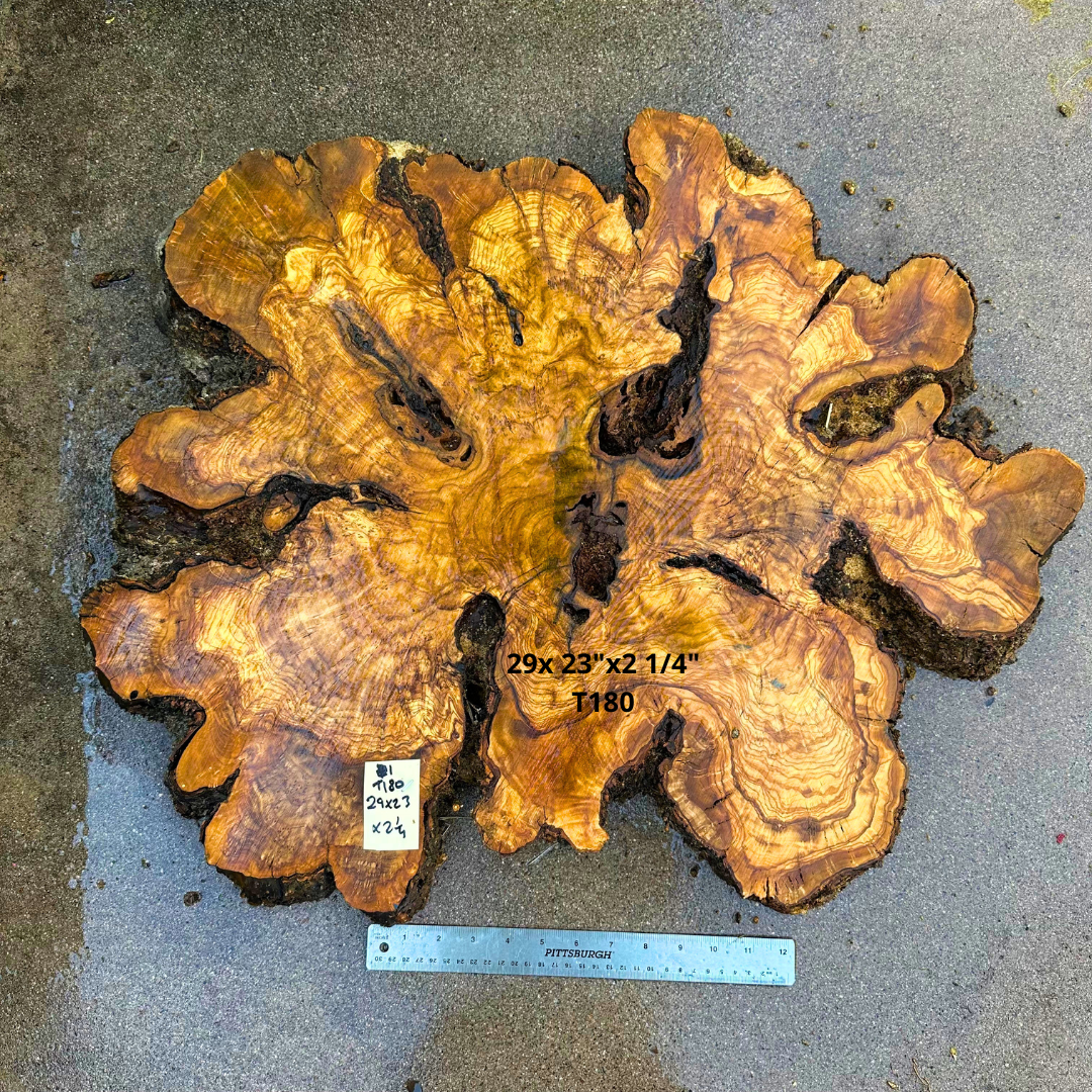 Large Live Edge Olive Cookie 29x 23"x2 1/4" T180