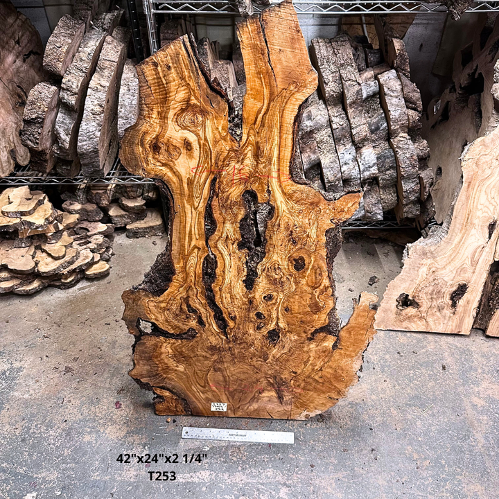 Large Unfinished Olive Wood Slab 42"x24"x2 1/4" T253