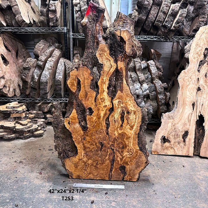 Large Unfinished Olive Wood Slab 42"x24"x2 1/4" T253