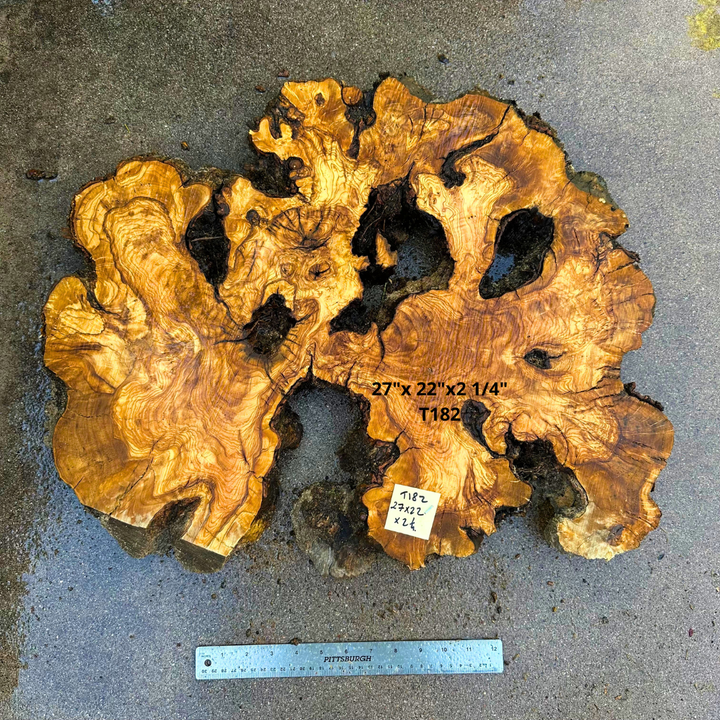 Large Live Edge Olive Cookie 27"x 22"x2 1/4" T182
