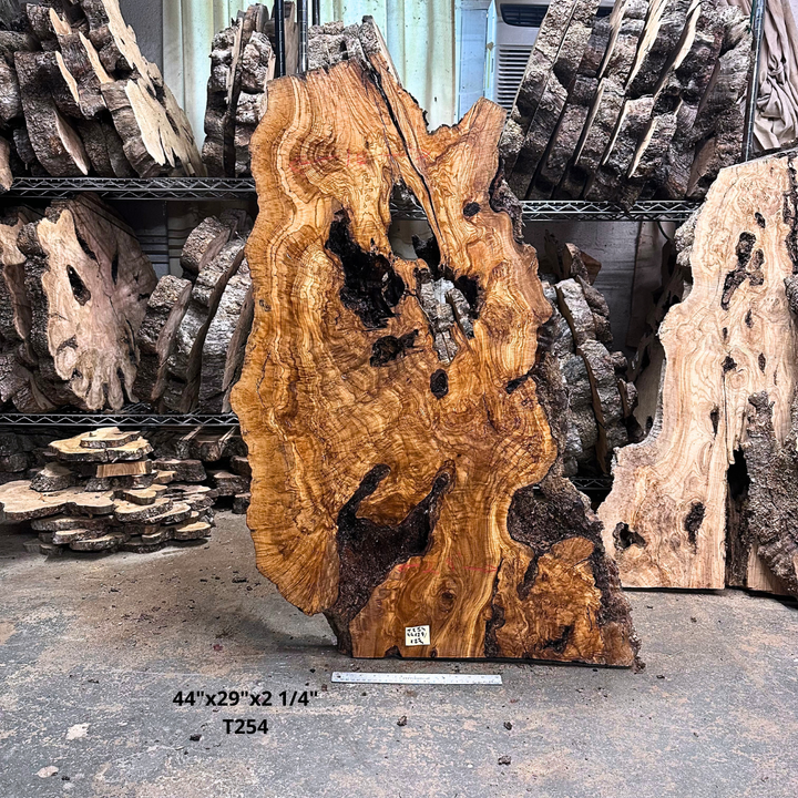 Large Unfinished Olive Wood Slab 42X24X2 1 4 T253 Copy | Desert Hardwoods