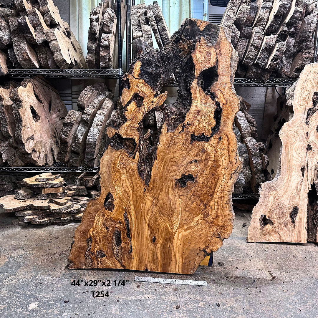 Large Unfinished Olive Wood Slab 42X24X2 1 4 T253 Copy - photo 2 | Desert Hardwoods