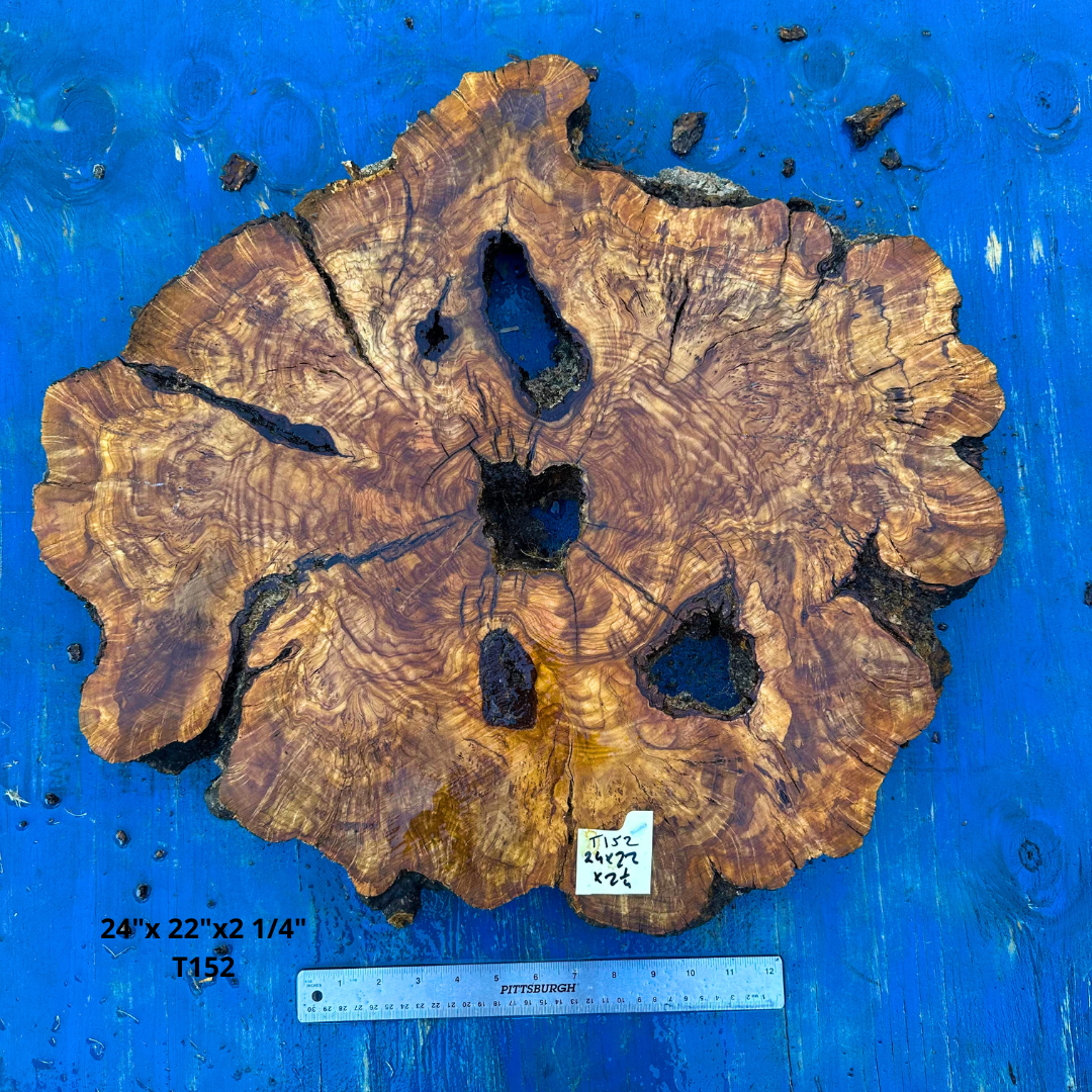 Live Edge Olive Cookie 24"x 22"x2 1/4" T152