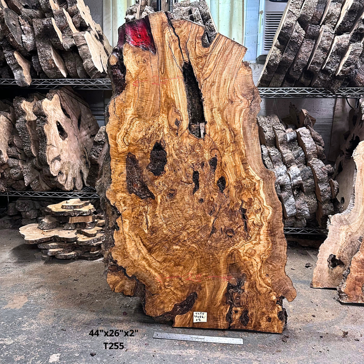 Large Unfinished Olive Wood Slab 44"x26"x2" T255
