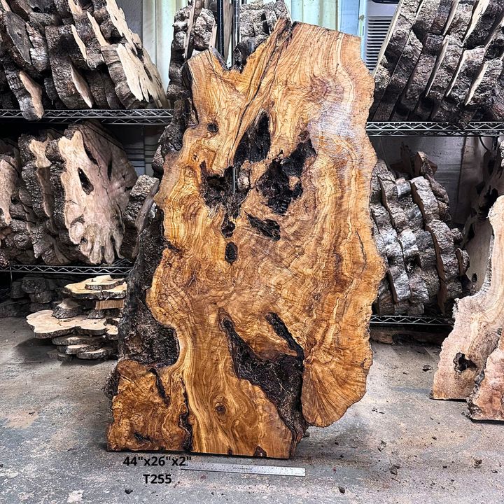 Large Unfinished Olive Wood Slab 44"x26"x2" T255