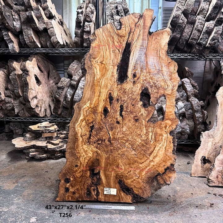 Large Unfinished Olive Wood Slab 43"x27"x2 1/4" T256