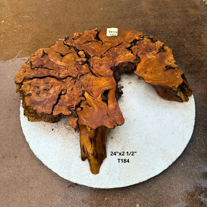 Olive Wood for Table 24"x2 1/2" T184