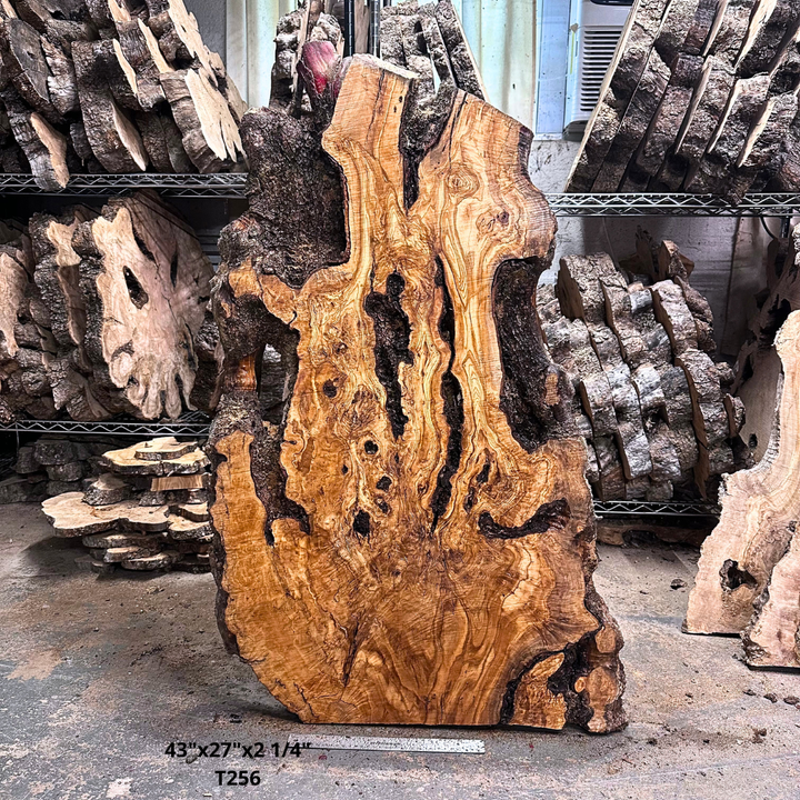 Large Unfinished Olive Wood Slab 43"x27"x2 1/4" T256