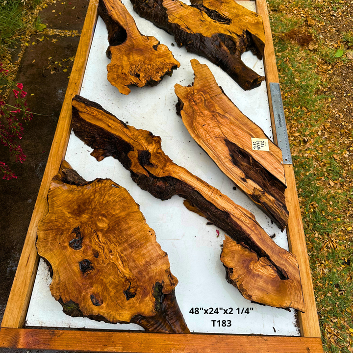 Olive Wood Pre Cut Kit 48"x24"x2 1/4" T183