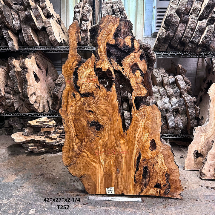 Large Unfinished Olive Wood Slab 42"x27"x2 1/4" T257