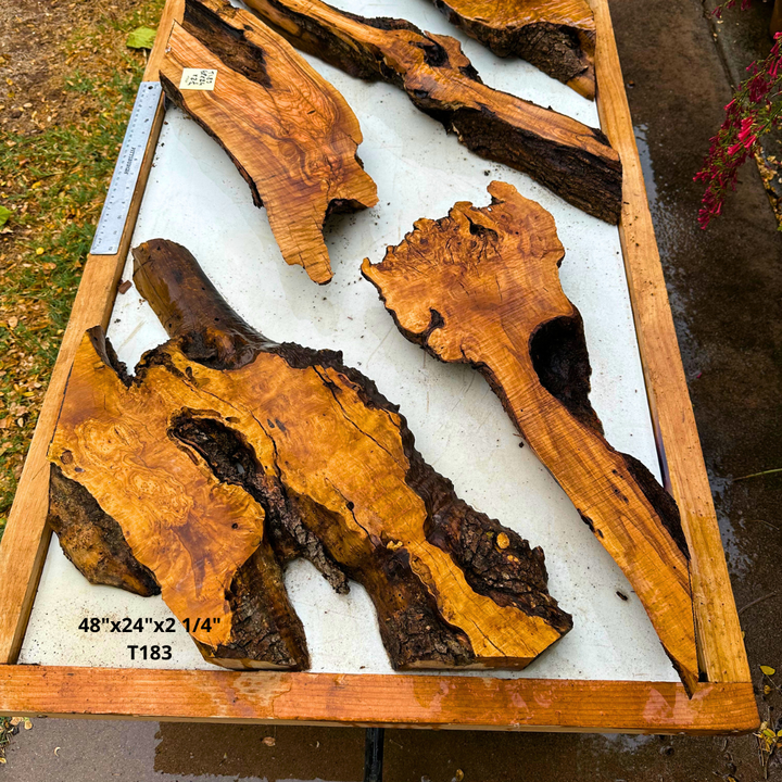 Olive Wood Pre Cut Kit 48"x24"x2 1/4" T183