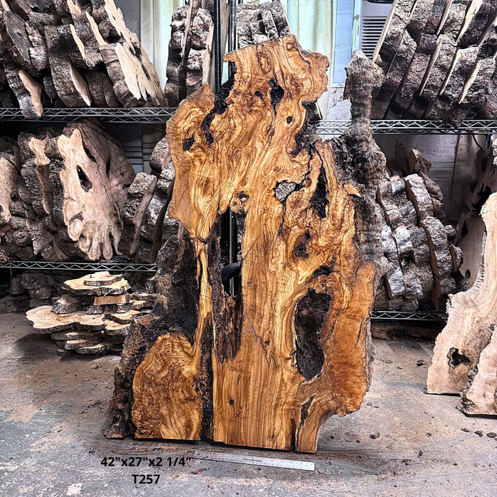 Large Unfinished Olive Wood Slab 42"x27"x2 1/4" T257