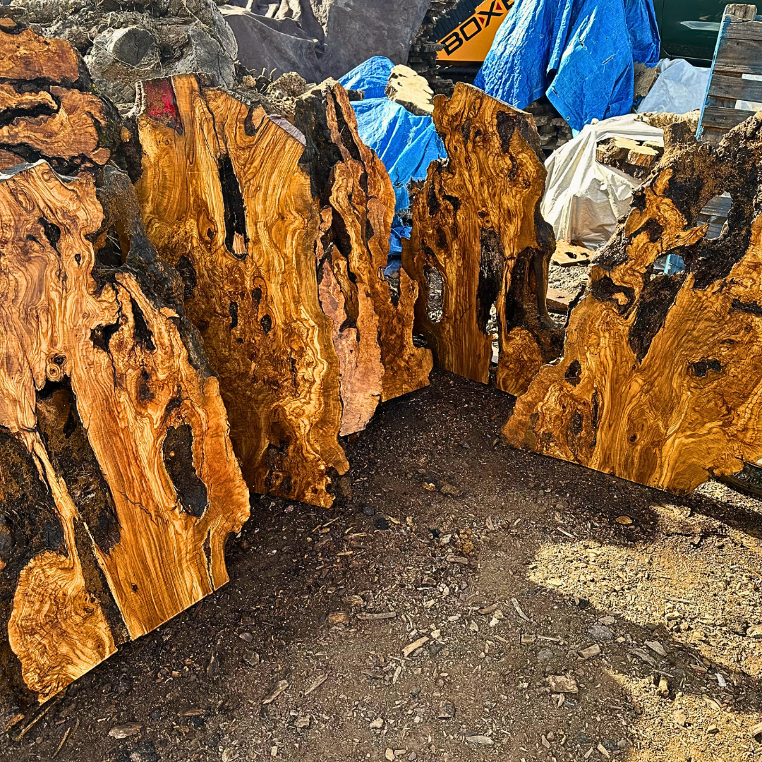 Large Unfinished Olive Wood Slab 42"x24"x2 1/4" T253