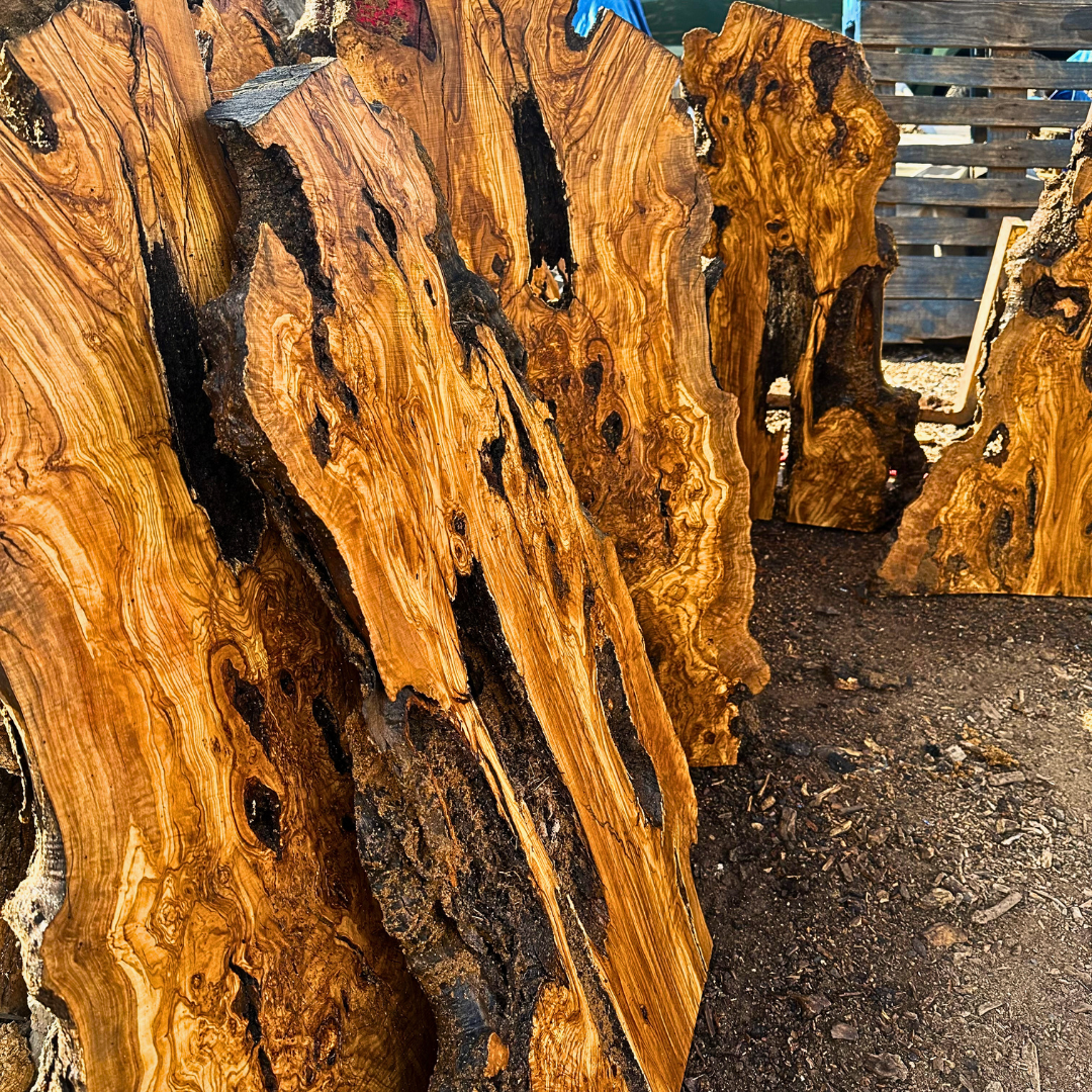Large Unfinished Olive Wood Slab 42"x24"x2 1/4" T253