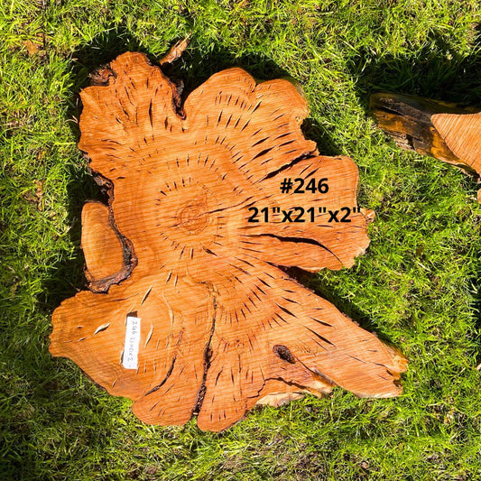 #246 - 21"x 21"x 2"