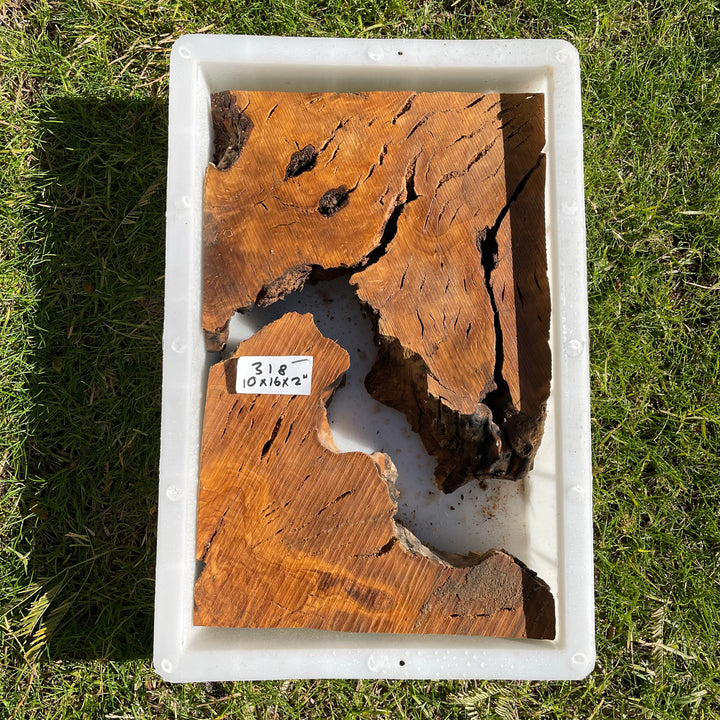 Rectangular Olive Wood Kits with Mold for Live Edge Resin Projects