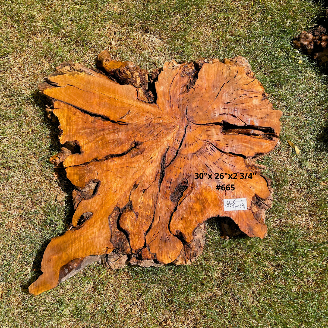 30"x 26"x2 3/4" #665