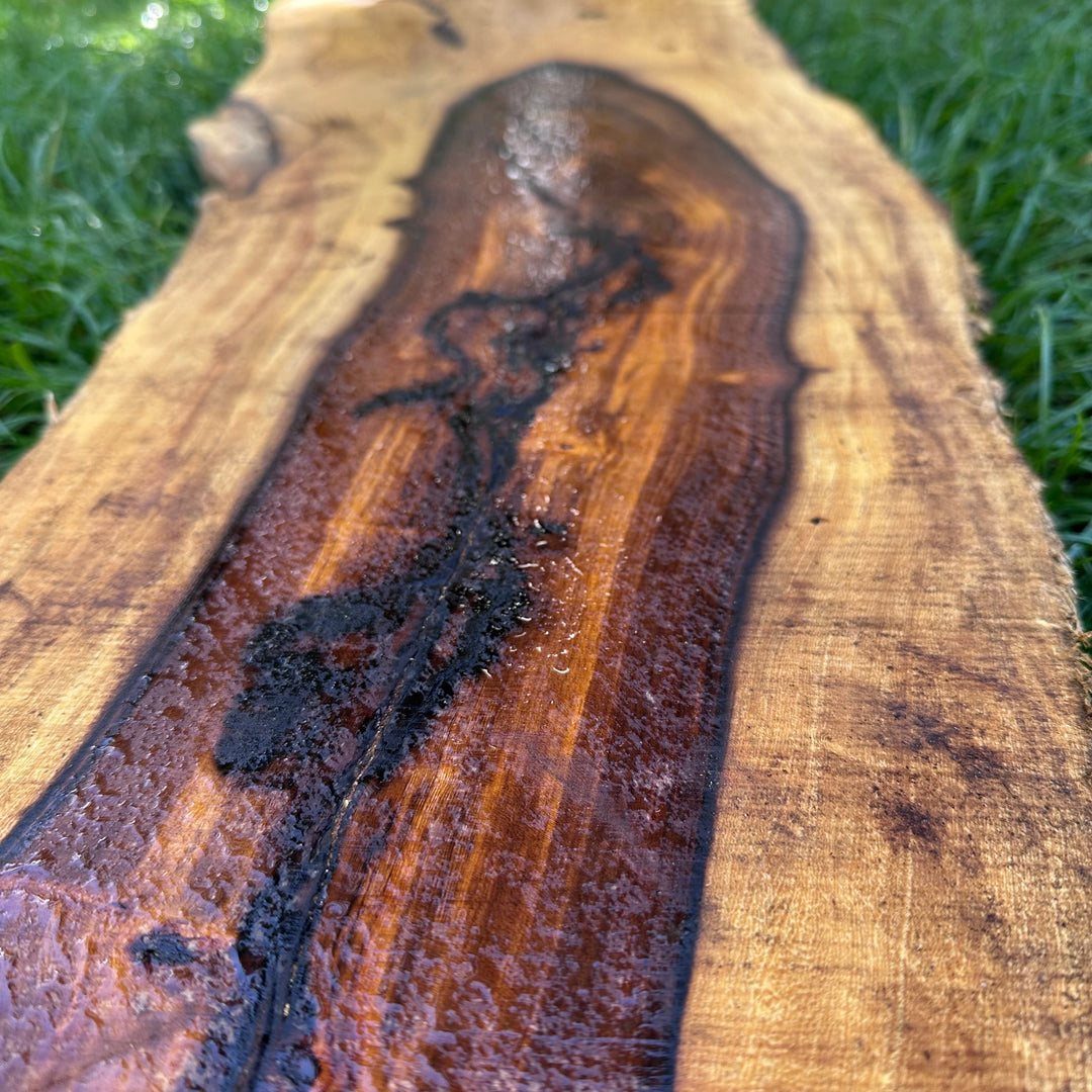 Desert Ironwood 56x15x2” T392