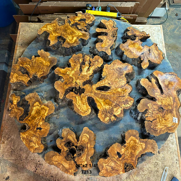 48"x2 1/4" Cookies for Large Circular Table T213