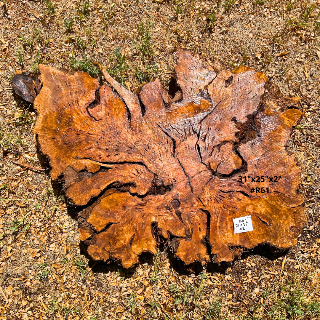 31"x25"x2" #R61