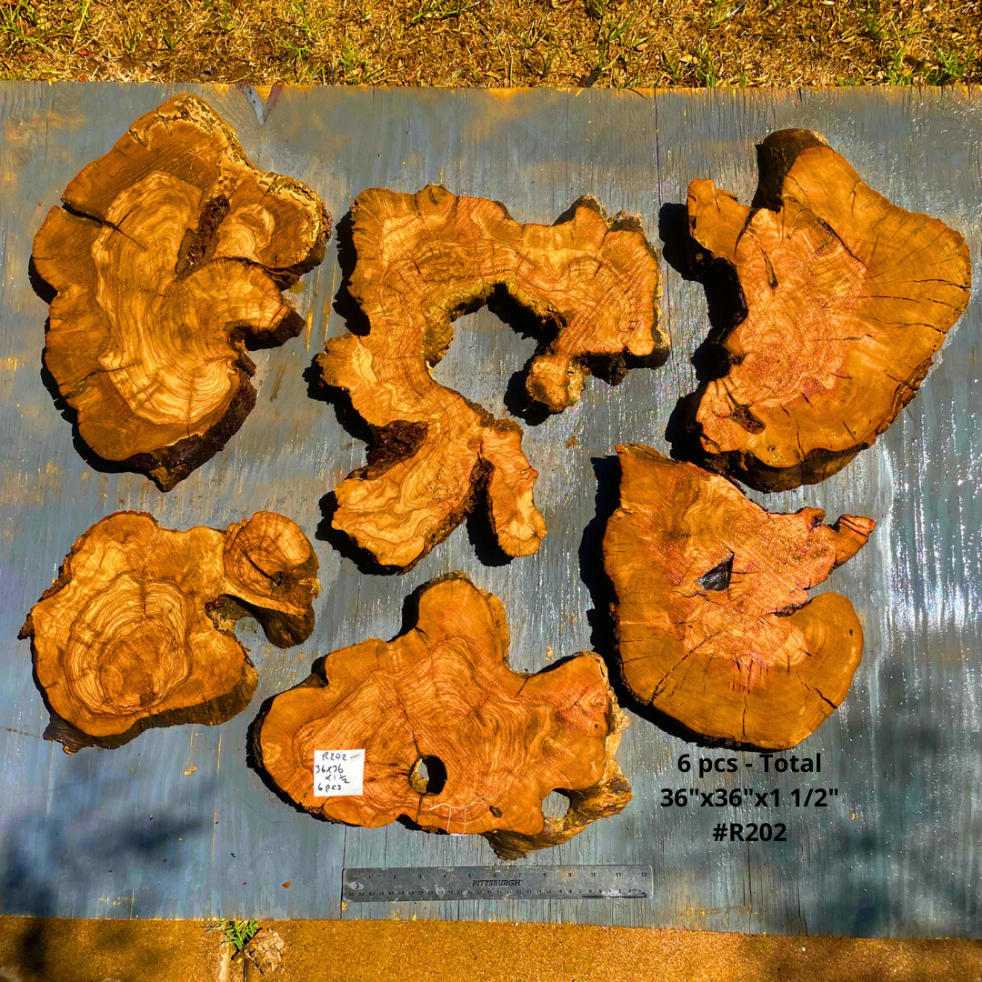 6 Olive Wood Slices - Total 36"x36"x1 1/2" #R202