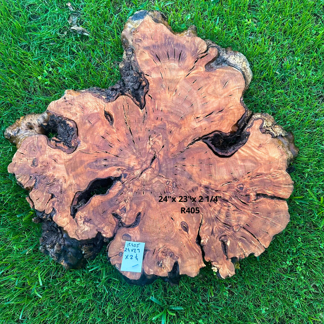 Olivewood Round for Resin Project 24"x 23"x 2 1/4" R405