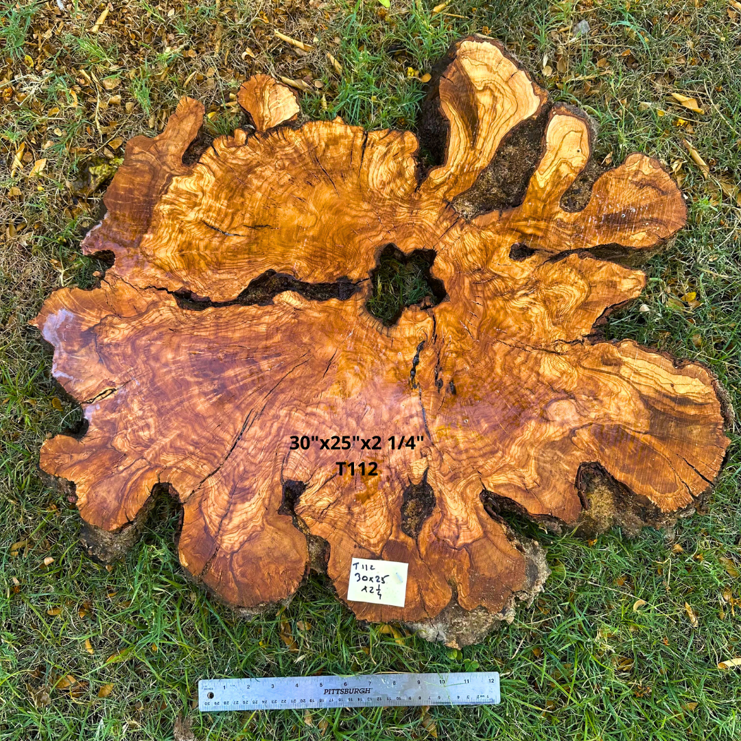 Live Edge Olive Cookie 30"x25"x2 1/4" T112