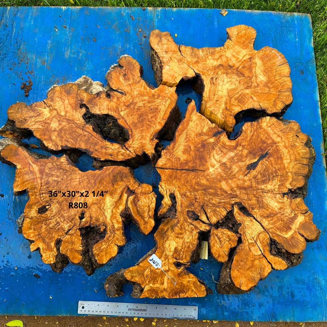 Live Edge Olive Cookie 36"x30"x2 1/4“ R808