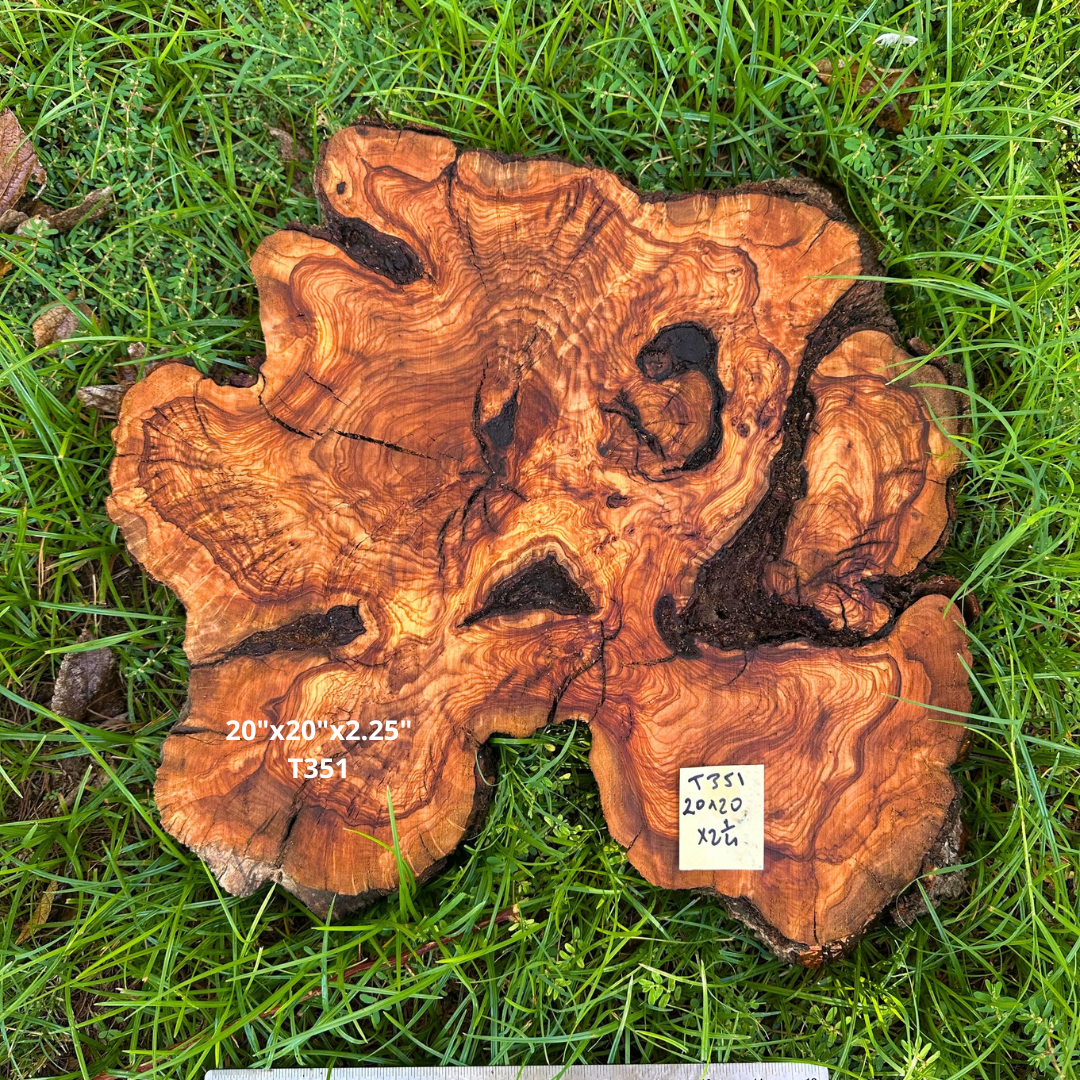 Live Edge Olive Wood Cookie 20"x20"x2.25" T351