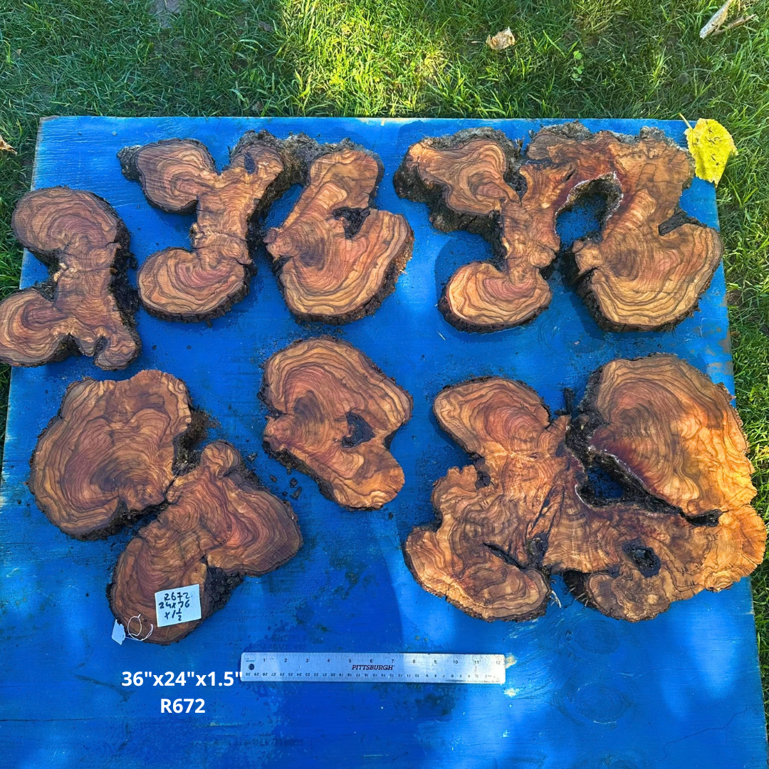 Set of Olive Wood Cookies 36"x24"x1.5" R672