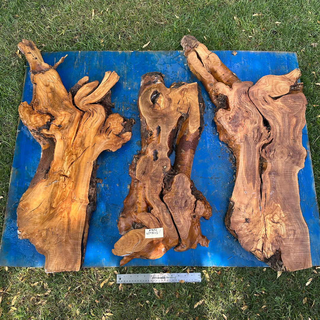 Olive Wood for Dining Tables – Desert Hardwoods