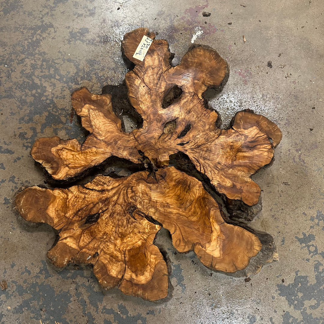 Live Edge Olive Cookie 25"x24"x1 1/2" T120