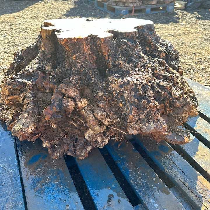 Olive Wood Table Base 37"x25"x14" #B144