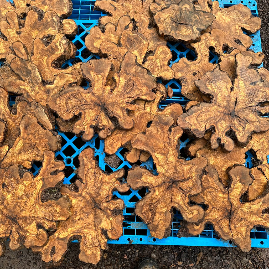 Sets of Thin Olive Wood Slices