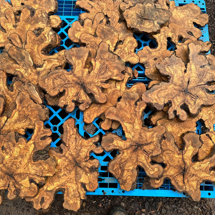 Sets of Thin Olive Wood Slices