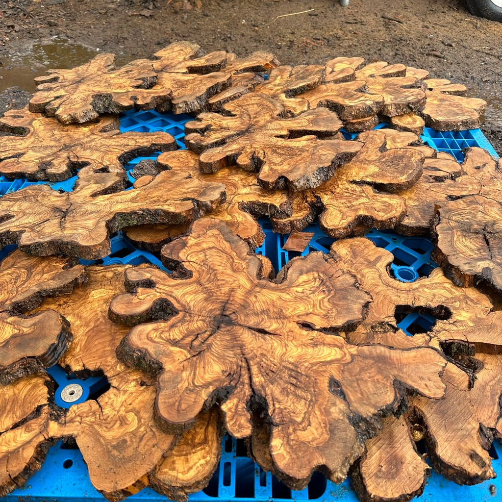 Sets of Thin Olive Wood Slices