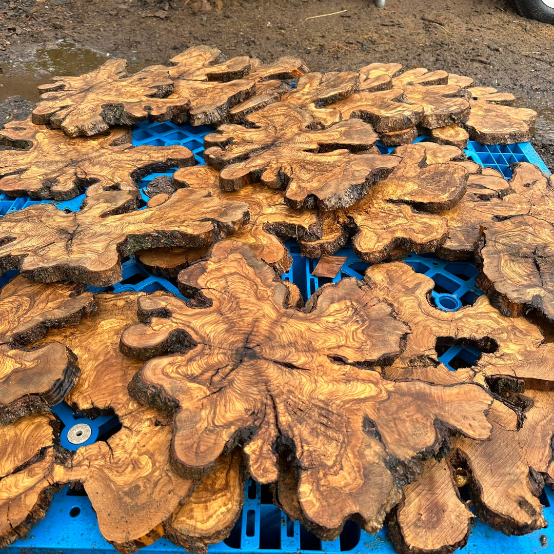 5 Thin Olive Wood Cookies Slice