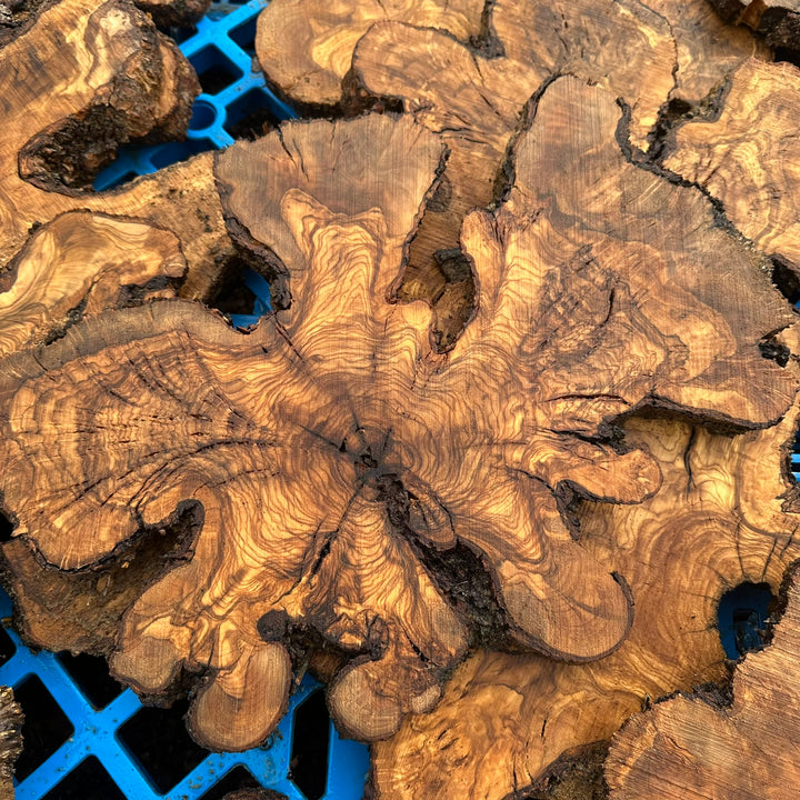 Sets of Thin Olive Wood Slices