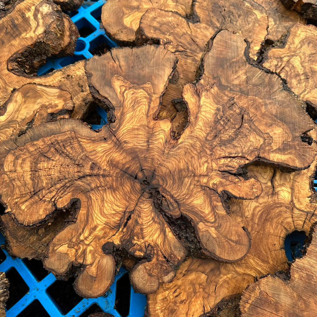 Sets of Thin Olive Wood Slices