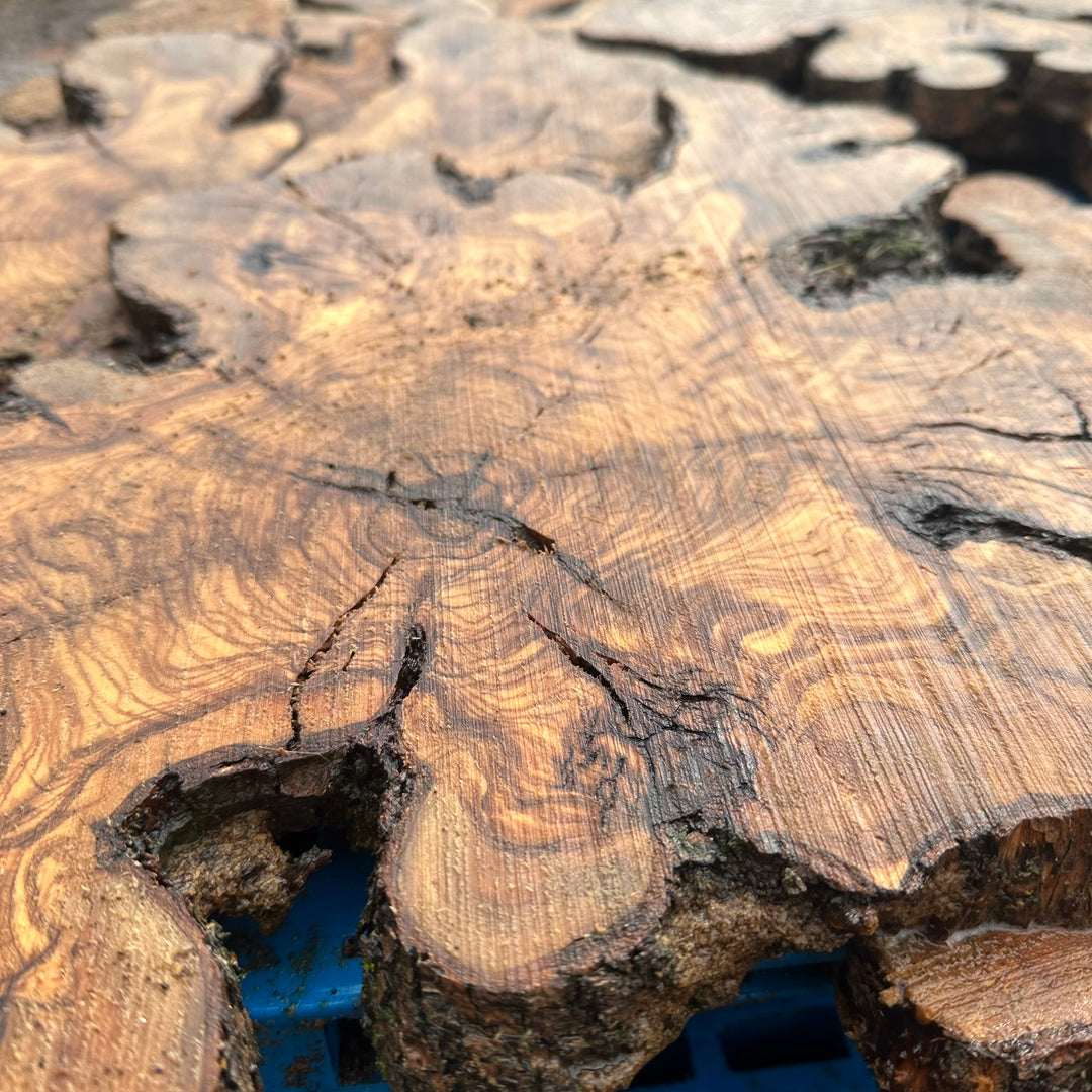 Sets of Thin Olive Wood Slices