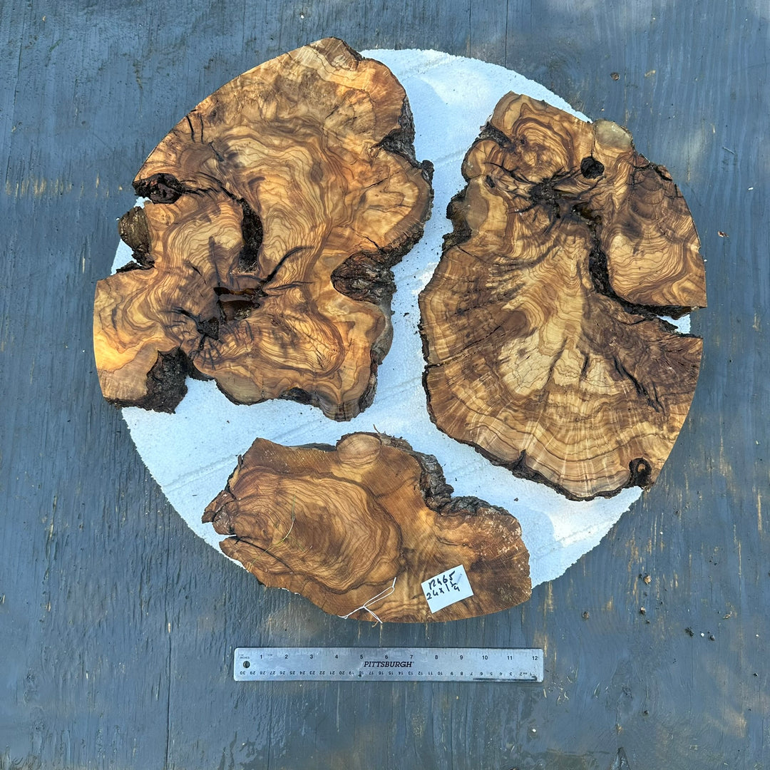 Pre Cut Olive Wood Cookie for small table 24"x1.25" R465
