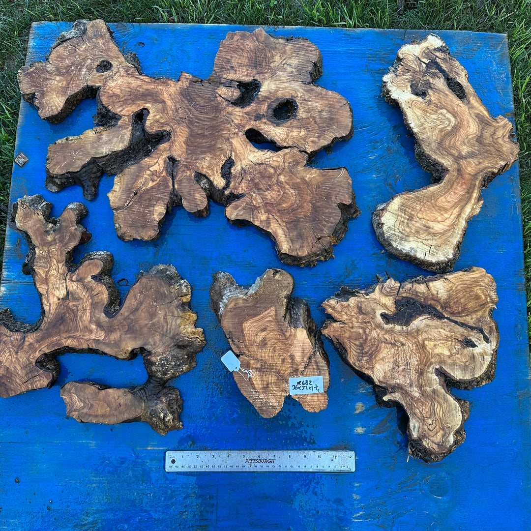 Set of Olive Wood Cookies 36"x32"x1.25" R682