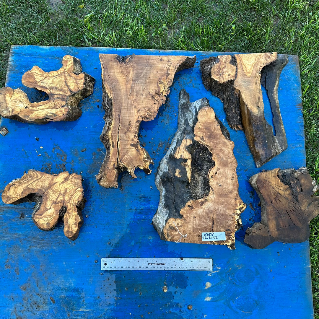 Set of Olive Wood Cookies 36"x20"x2" R688