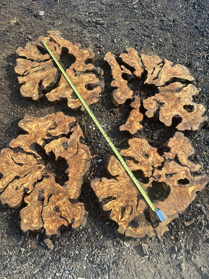 Extra Large Olive Wood Slices for 72-80" Table
