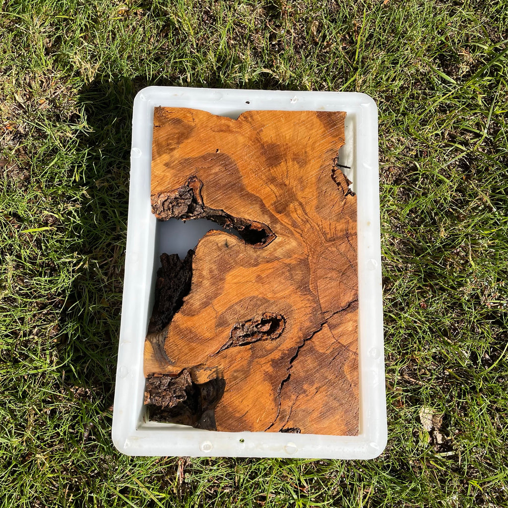Rectangular Olive Wood Kits with Mold for Live Edge Resin Projects
