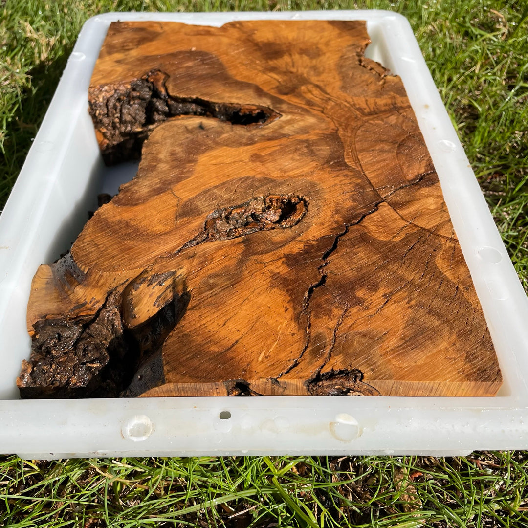 Rectangular Olive Wood Kits with Mold for Live Edge Resin Projects