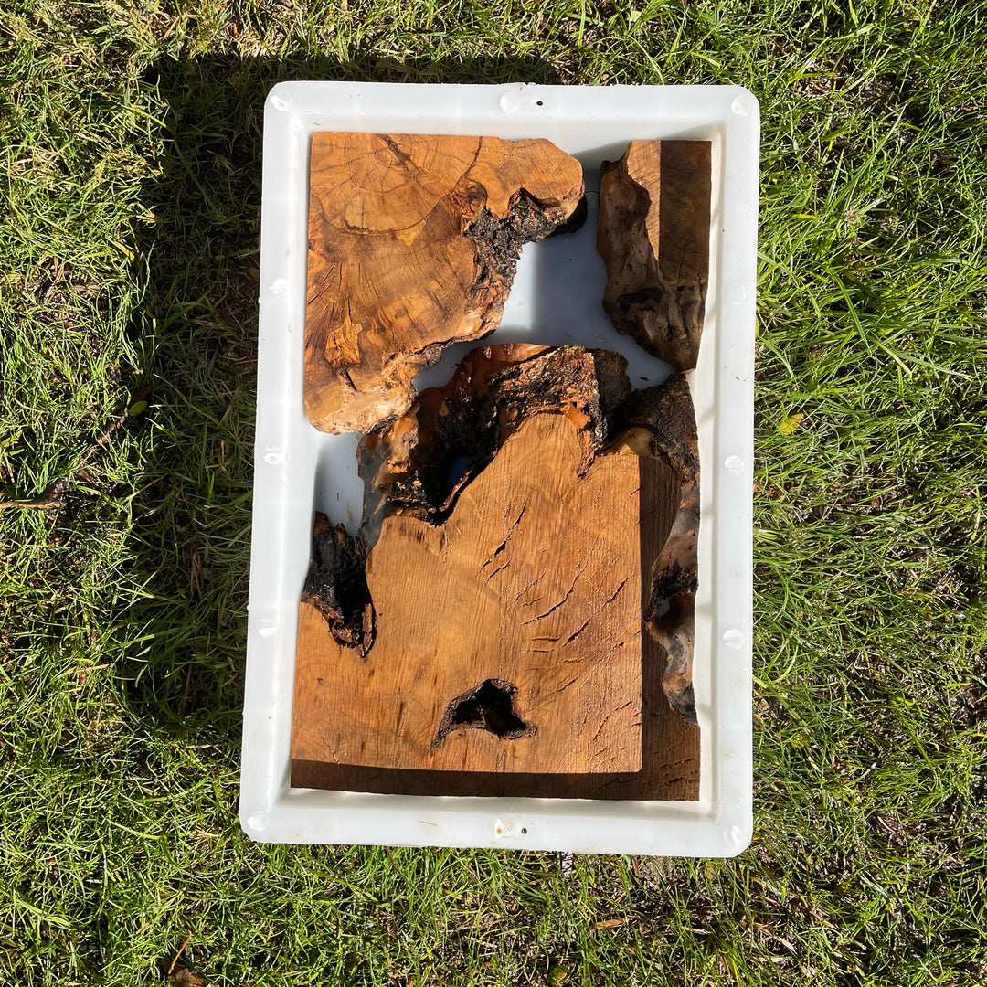 Rectangular Olive Wood Kits with Mold for Live Edge Resin Projects