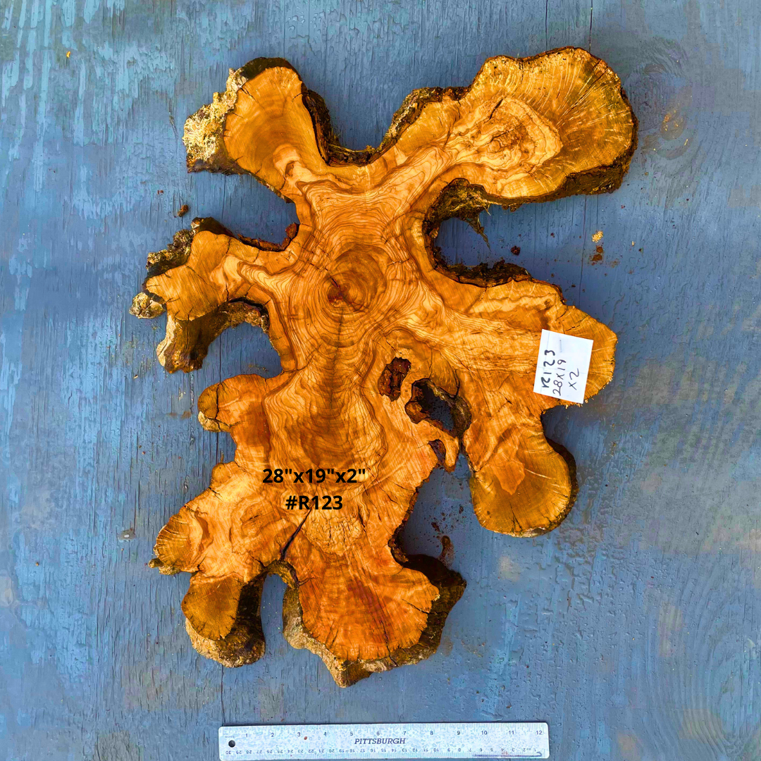 Highly Figured Olive Wood Slice