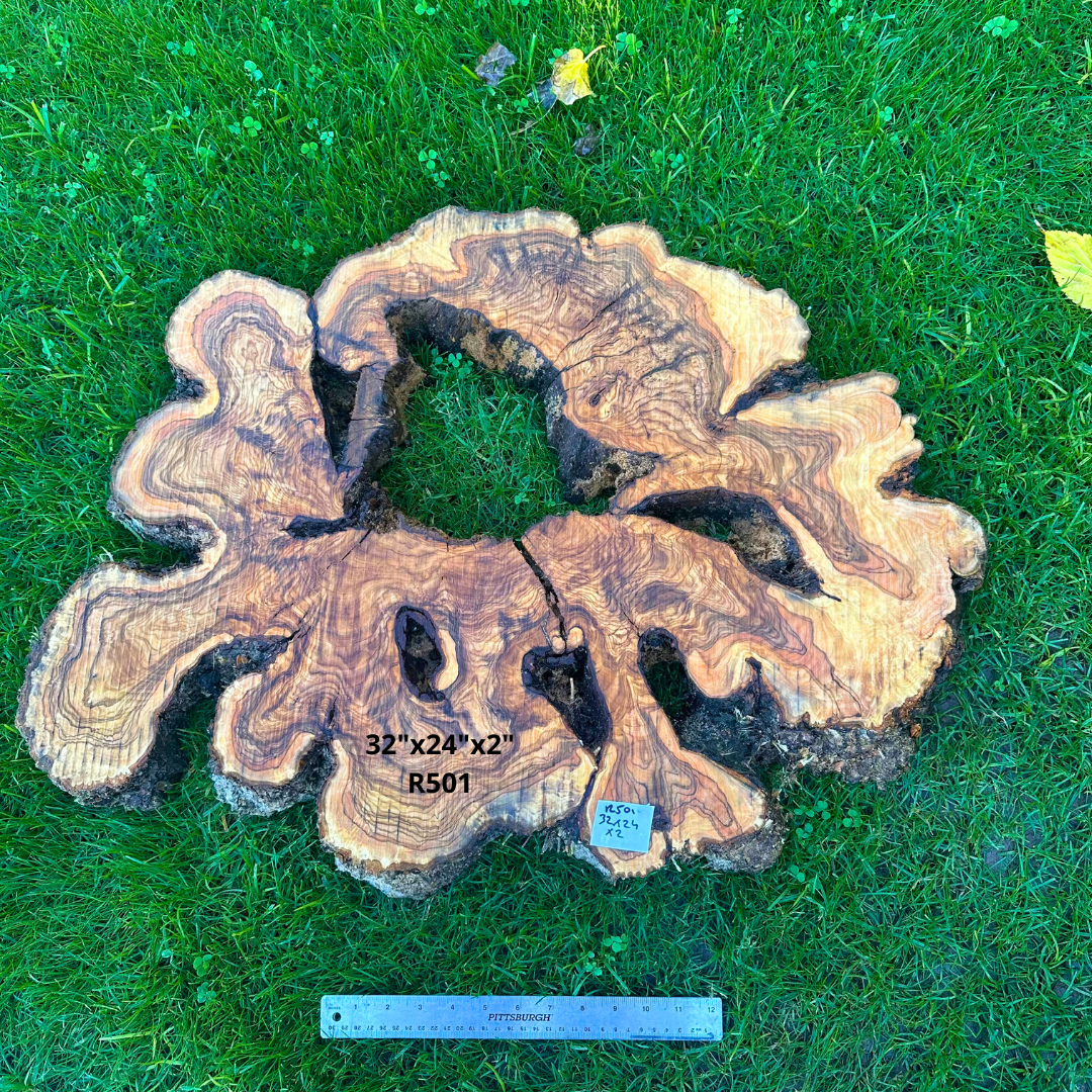 Large Olive Wood Cookie
