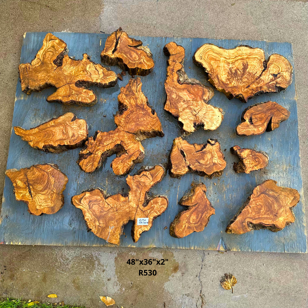 Olive Pieces for Art